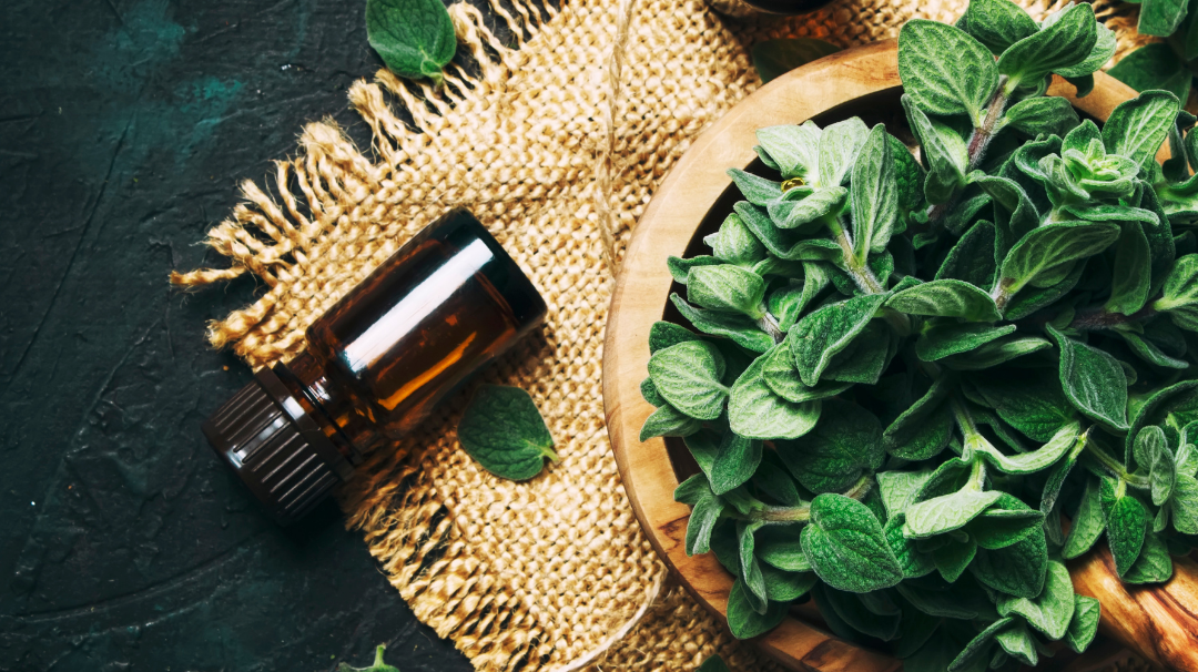 H&E Aromatherapy Made Simple Series: How to Store Essential Oils