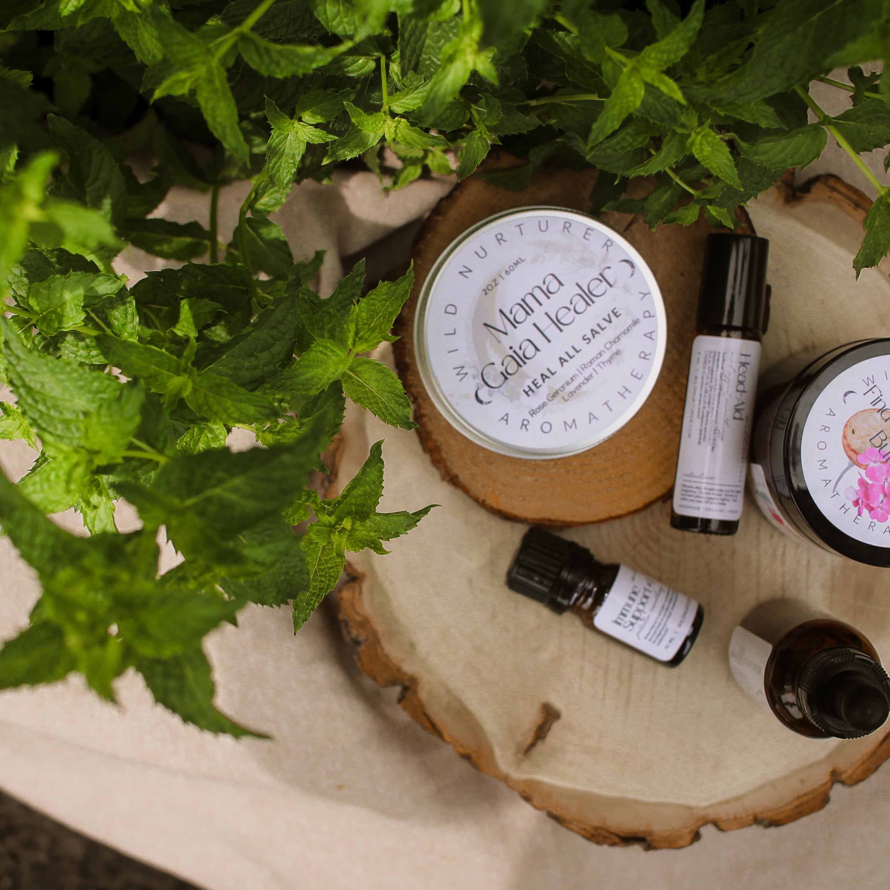 Text on a light green background reads: "Aromatherapy Resilience Wellness Collection. Seasonal wellness | Immune support | Natural remedies. Strengthen | protect.