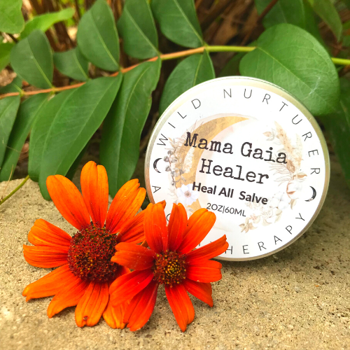 A closed metal tin of Wild Nurturer Aromatherapy Mama Gaia Healer Heal-All: Organic First-Aid Healing Salve, featuring essential oil and a detailed, embossed lid, isolated on a white background.