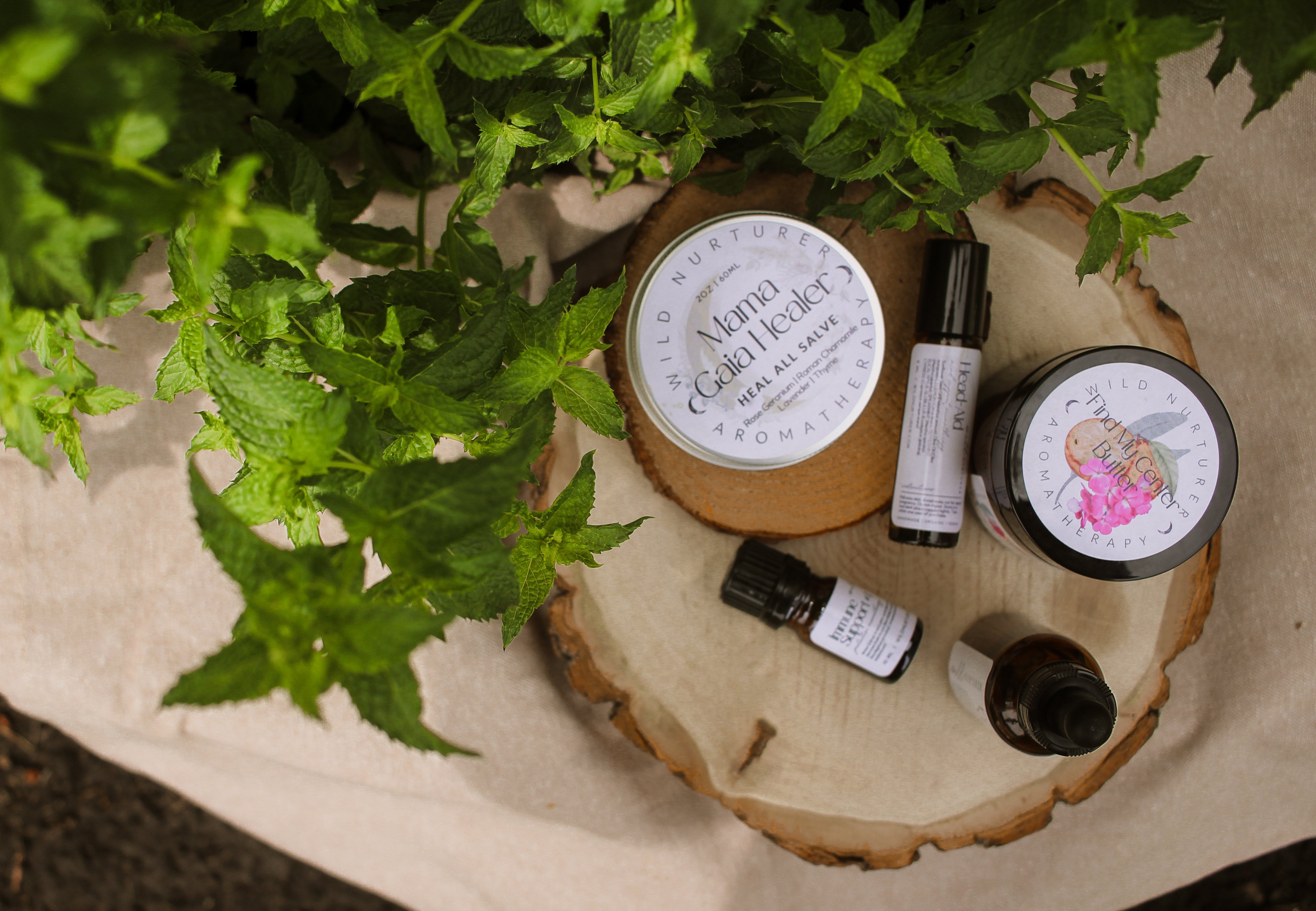 Text on a light green background reads: "Aromatherapy Resilience Wellness Collection. Seasonal wellness | Immune support | Natural remedies. Strengthen | protect.