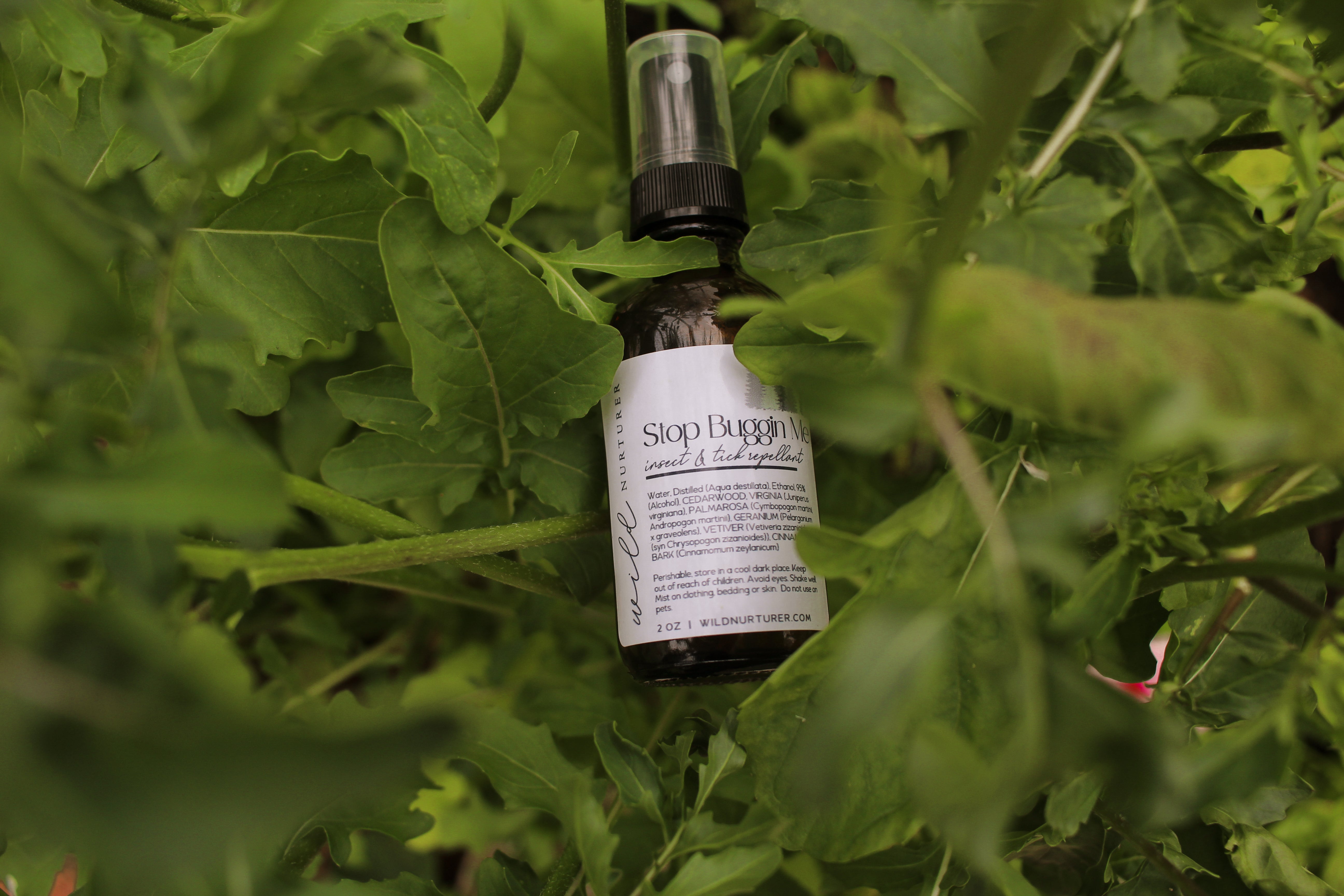 A small dark spray bottle labeled “Stop Buggin” rests among green leaves and plants, blending into the surrounding foliage.