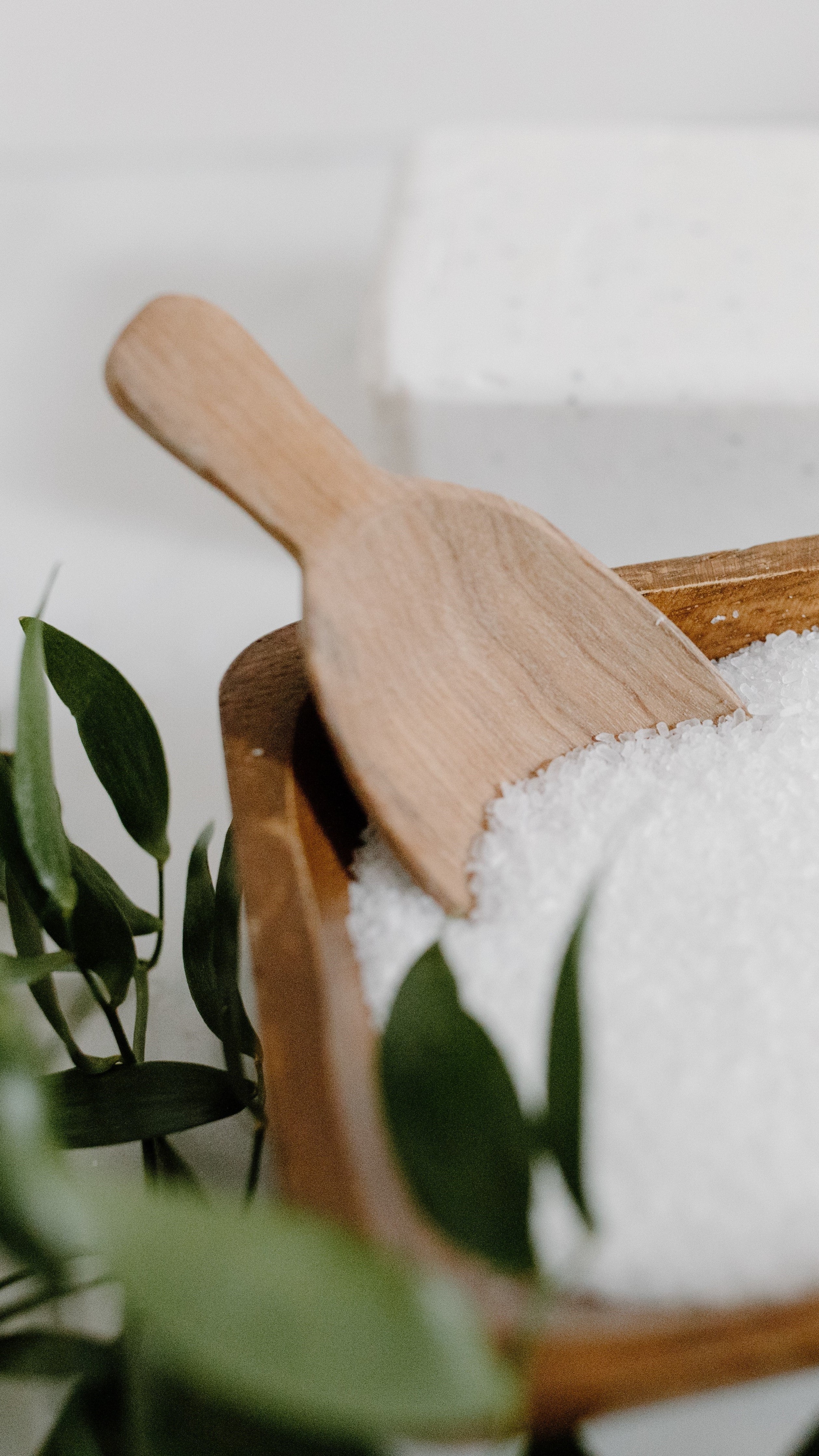Light blue background with centered text reading: "Aromatherapy Camphor Collection" followed by "Eucalyptus | Tea Tree | Peppermint | Menthol" and "cooling | clearing" in smaller text below.