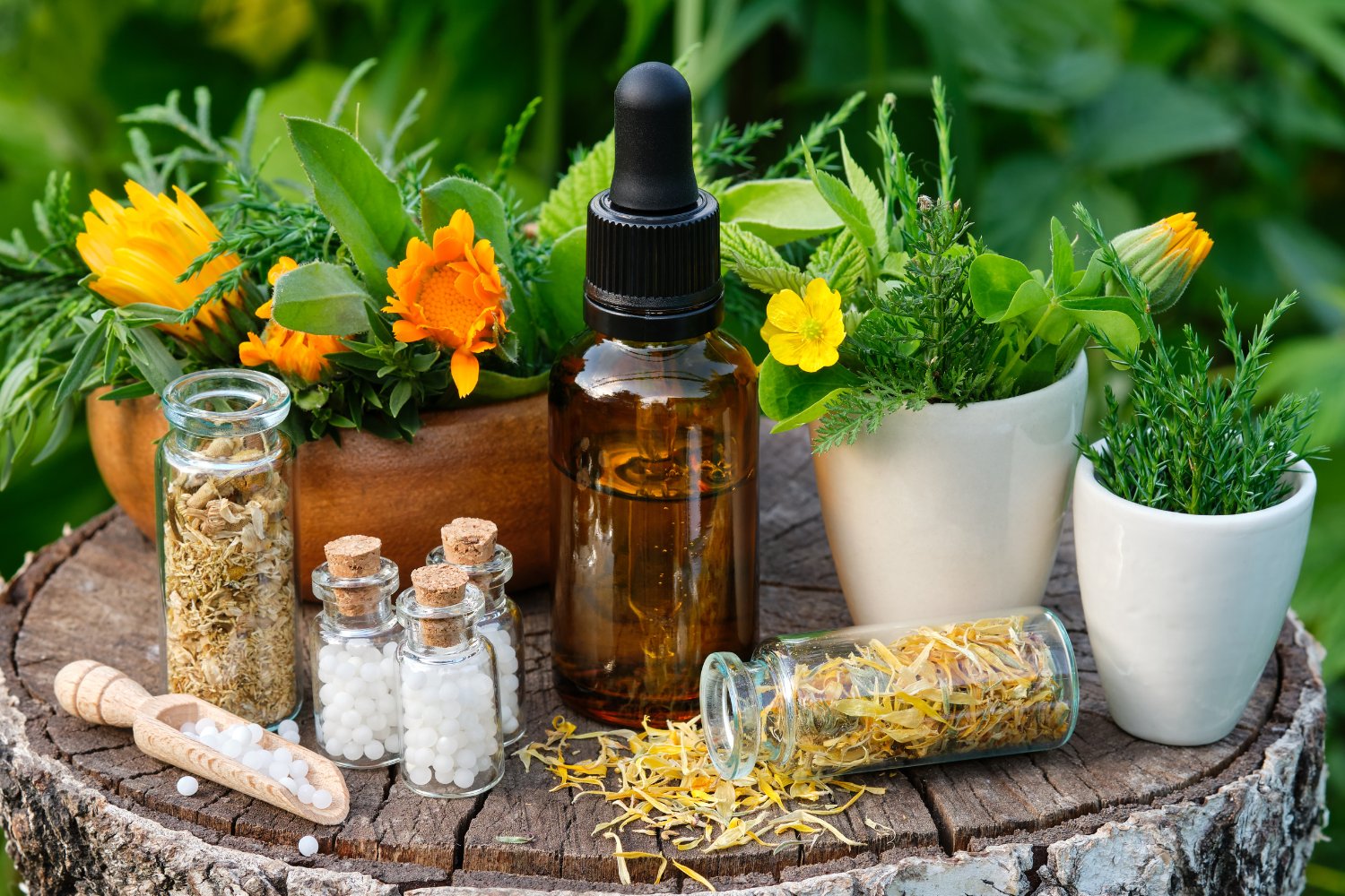 Overhead view of traditional aromatherapy items: lavender sprigs, dried petals, and candles, with text "traditional aromatherapy collection" at the top.