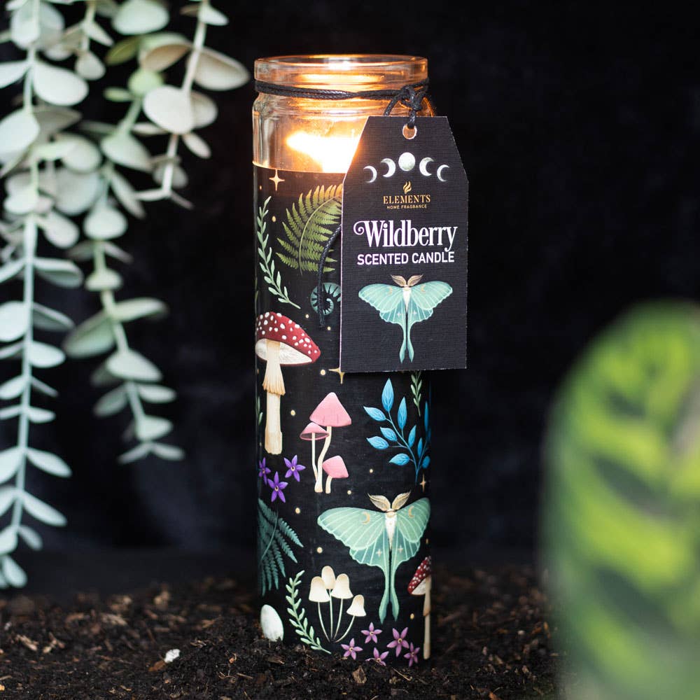 The Dark Forest Wildberry Tube Candle by Something Different Wholesale is a tall, lit candle featuring a decorative label with mushrooms and leaves set against a mystical forest print, surrounded by green foliage.